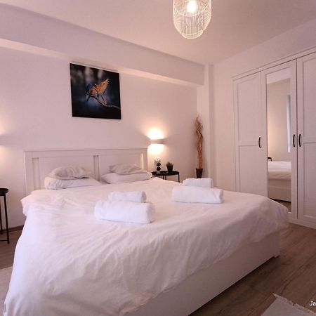 Cozy Apartment City Center Bucareste Exterior foto